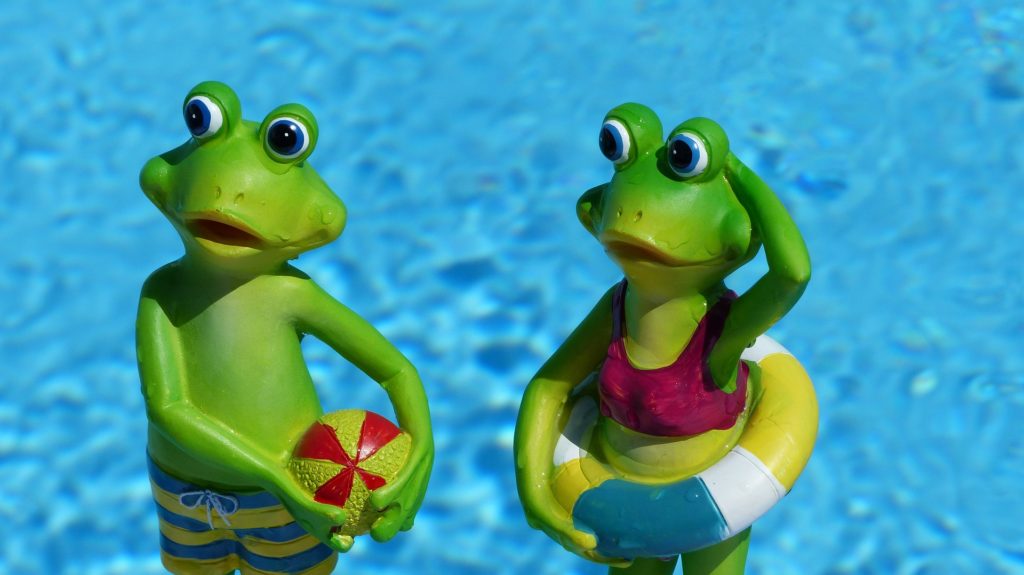 Frog vacation